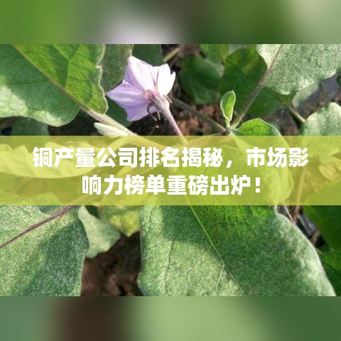 銅產量公司排名揭秘，市場影響力榜單重磅出爐！