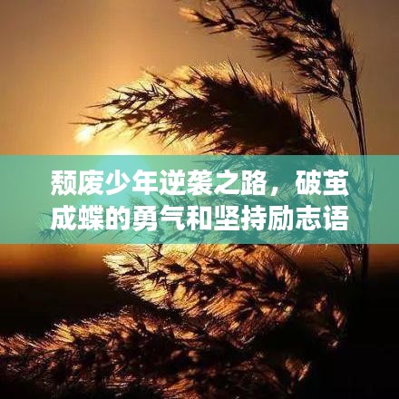 頹廢少年逆襲之路，破繭成蝶的勇氣和堅持勵志語錄