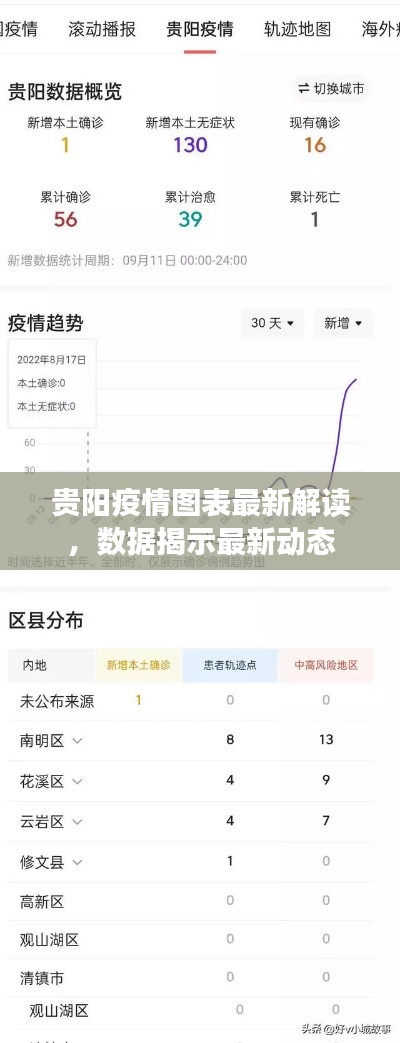 貴陽(yáng)疫情圖表最新解讀，數(shù)據(jù)揭示最新動(dòng)態(tài)
