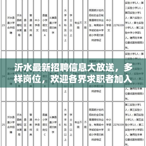 沂水最新招聘信息大放送，多樣崗位，歡迎各界求職者加入，年齡至55歲