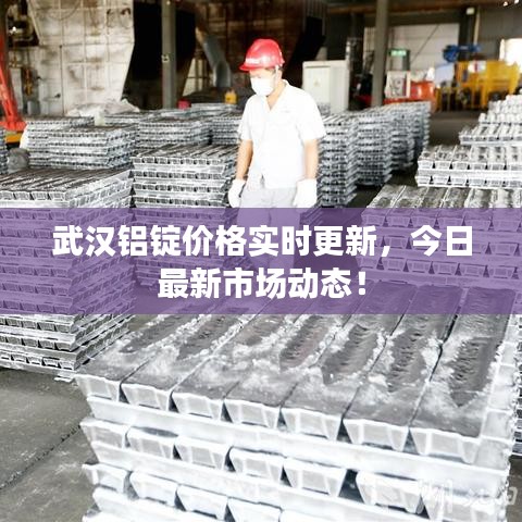 了解鹿瓷 第147頁