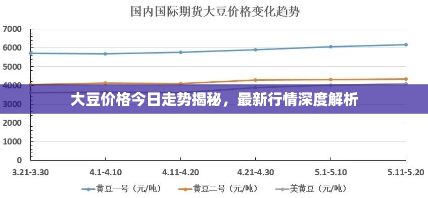 大豆價(jià)格今日走勢(shì)揭秘，最新行情深度解析