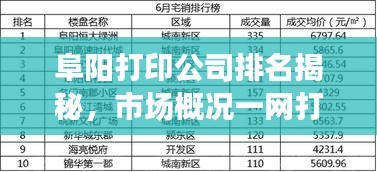 阜陽(yáng)打印公司排名揭秘，市場(chǎng)概況一網(wǎng)打盡
