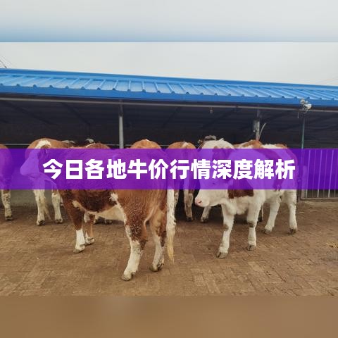 林下風(fēng)氣 第2頁(yè)