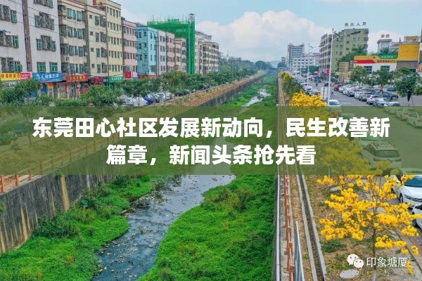 東莞田心社區(qū)發(fā)展新動向，民生改善新篇章，新聞頭條搶先看