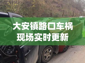 大安鎮(zhèn)路口車禍現(xiàn)場(chǎng)實(shí)時(shí)更新，事故最新進(jìn)展曝光