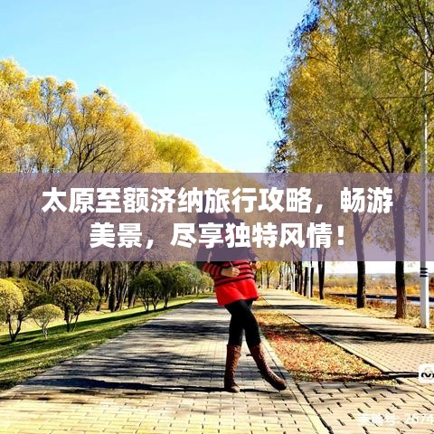 太原至額濟(jì)納旅行攻略，暢游美景，盡享獨(dú)特風(fēng)情！