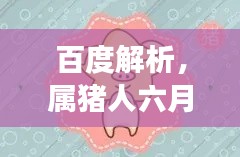 百度解析，屬豬人六月運(yùn)勢(shì)全面解讀