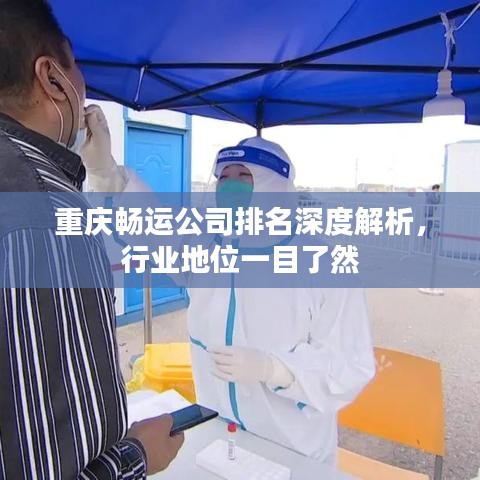 重慶暢運(yùn)公司排名深度解析，行業(yè)地位一目了然