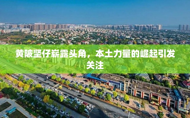 黃陂堅仔嶄露頭角，本土力量的崛起引發(fā)關(guān)注