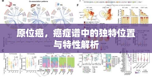 原位癌，癌癥譜中的獨特位置與特性解析