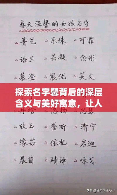 探索名字馨背后的深層含義與美好寓意，讓人心動的名字故事！