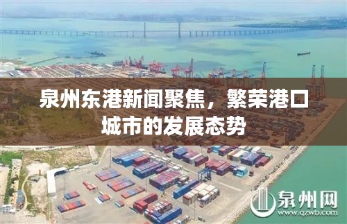 泉州東港新聞聚焦，繁榮港口城市的發(fā)展態(tài)勢(shì)