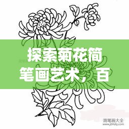 探索菊花簡筆畫藝術，百度上的創(chuàng)意手繪之旅